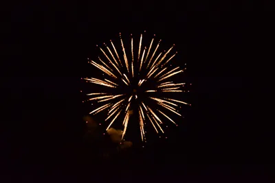 DSC_3363 (Large).JPG